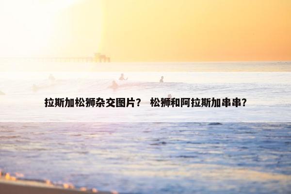 拉斯加松狮杂交图片？ 松狮和阿拉斯加串串？