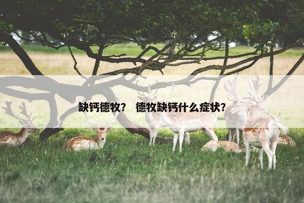 缺钙德牧? 德牧缺钙什么症状?