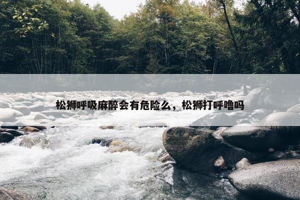 松狮呼吸麻醉会有危险么,松狮打呼噜吗