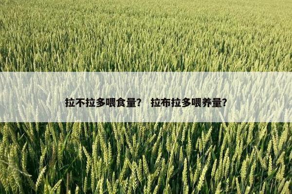 拉不拉多喂食量？ 拉布拉多喂养量？