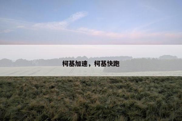 柯基加速，柯基快跑