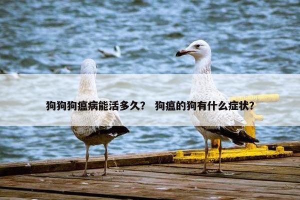 狗狗狗瘟病能活多久？ 狗瘟的狗有什么症状？