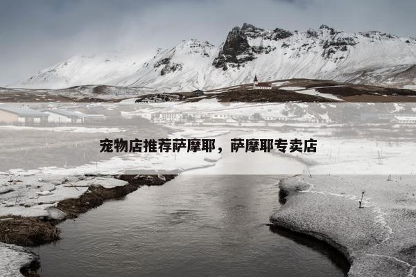 宠物店推荐萨摩耶，萨摩耶专卖店