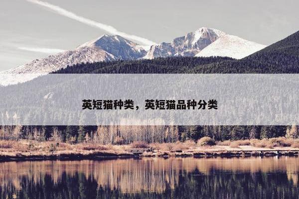 英短猫种类，英短猫品种分类