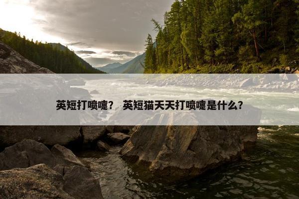 英短打喷嚏? 英短猫天天打喷嚏是什么?