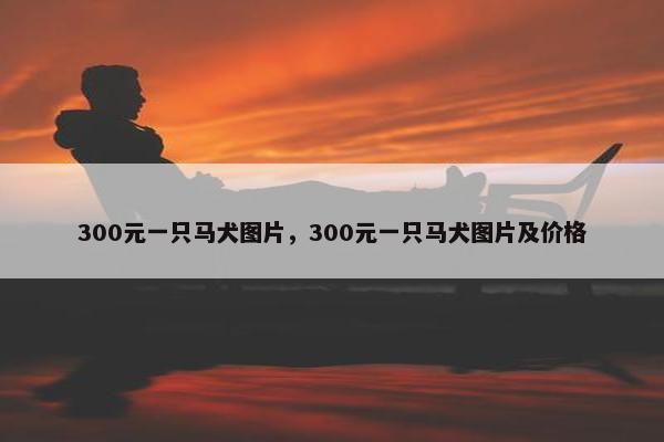 300元一只马犬图片,300元一只马犬图片及价格