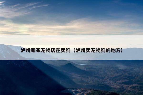 泸州哪家宠物店在卖狗(泸州卖宠物狗的地方)