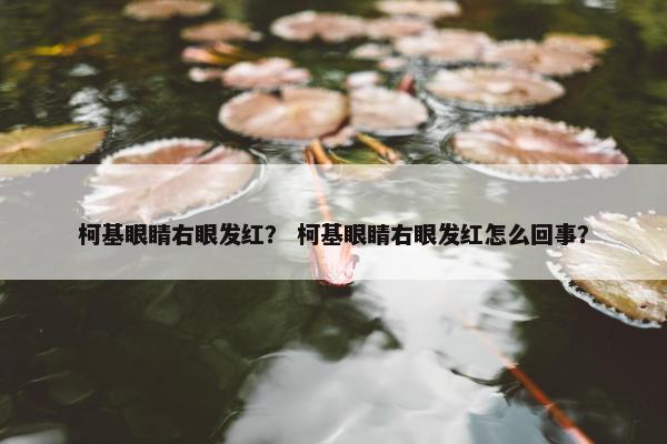 柯基眼睛右眼发红？ 柯基眼睛右眼发红怎么回事？