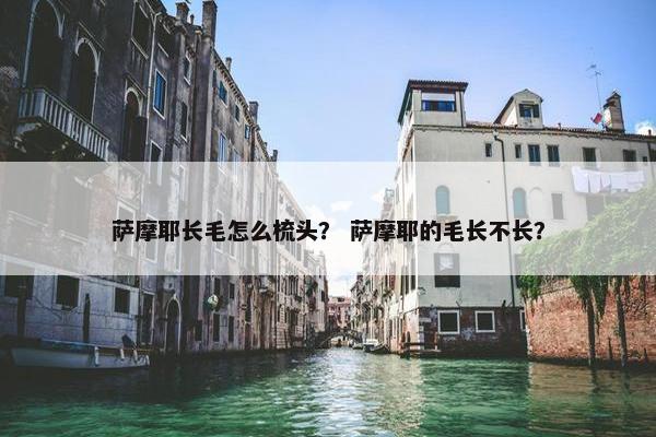 萨摩耶长毛怎么梳头？ 萨摩耶的毛长不长？