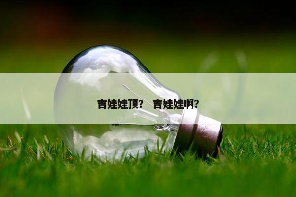 吉娃娃顶? 吉娃娃啊?