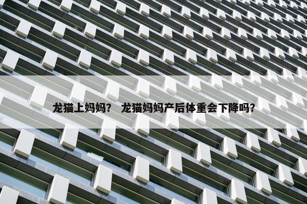龙猫上妈妈? 龙猫妈妈产后体重会下降吗?