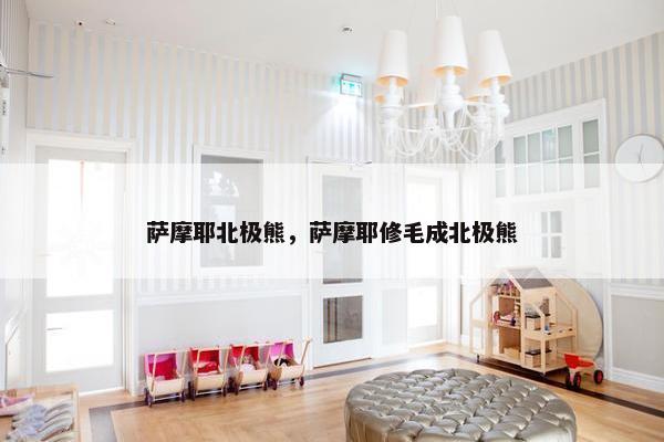 萨摩耶北极熊,萨摩耶修毛成北极熊