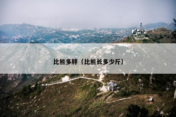 比熊多胖(比熊长多少斤)