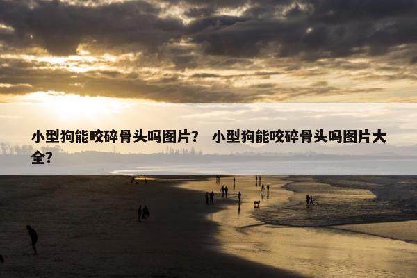 小型狗能咬碎骨头吗图片？ 小型狗能咬碎骨头吗图片大全？