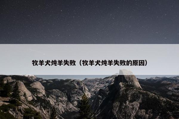 牧羊犬炖羊失败(牧羊犬炖羊失败的原因) 牧羊犬炖羊失败(牧羊犬炖羊失败的原因)