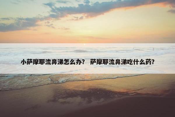 小萨摩耶流鼻涕怎么办? 萨摩耶流鼻涕吃什么药?