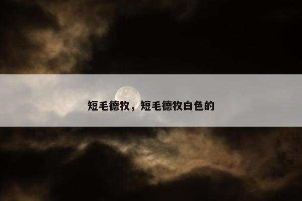 短毛德牧,短毛德牧白色的