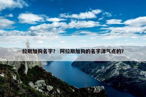 拉斯加狗名字? 阿拉斯加狗的名字洋气点的?