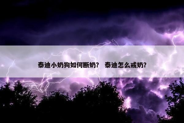 泰迪小奶狗如何断奶? 泰迪怎么戒奶?