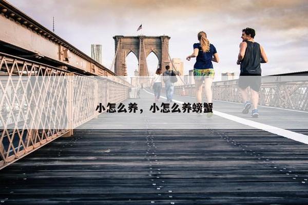 小怎么养,小怎么养螃蟹