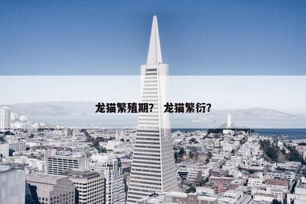 龙猫繁殖期? 龙猫繁衍?