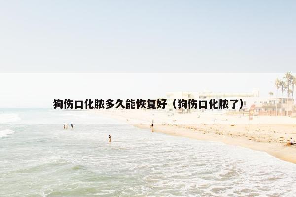 狗伤口化脓多久能恢复好(狗伤口化脓了)