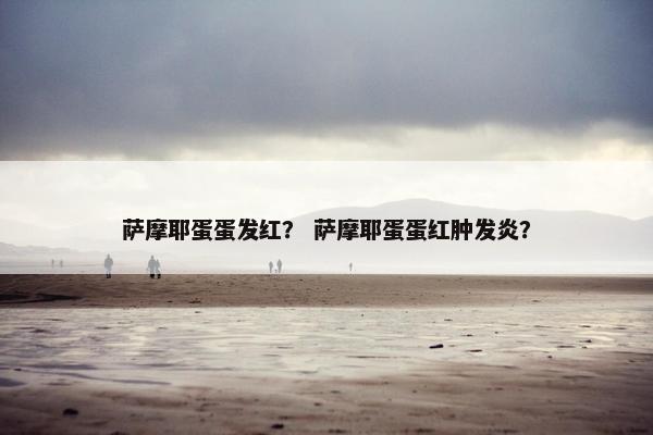 萨摩耶蛋蛋发红? 萨摩耶蛋蛋红肿发炎?