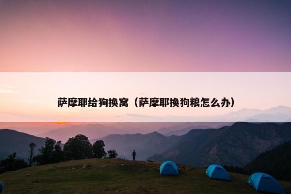 萨摩耶给狗换窝(萨摩耶换狗粮怎么办)