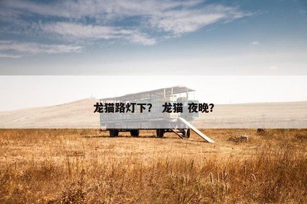 龙猫路灯下? 龙猫 夜晚?