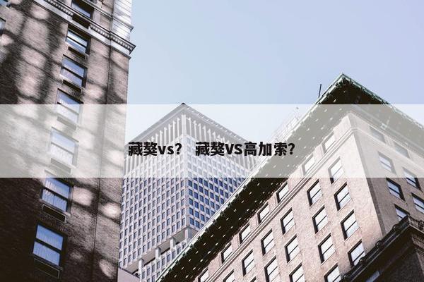 藏獒vs? 藏獒VS高加索?