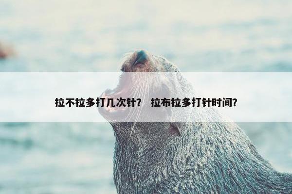 拉不拉多打几次针? 拉布拉多打针时间?