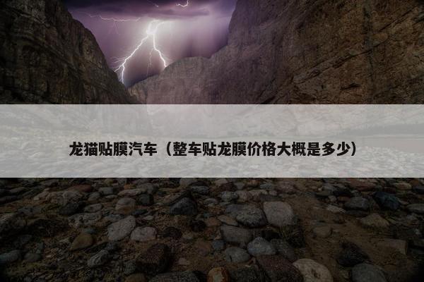 龙猫贴膜汽车(整车贴龙膜价格大概是多少)