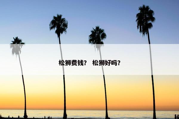 松狮费钱? 松狮好吗?