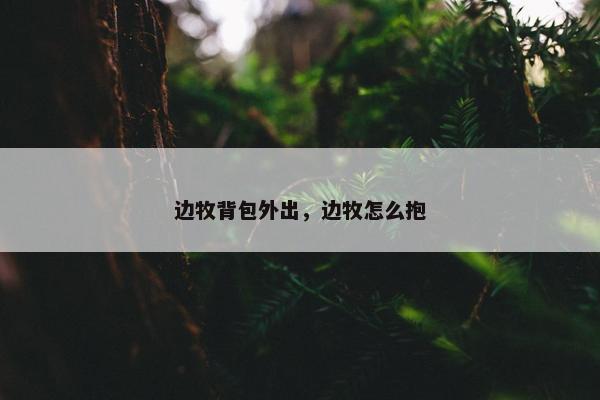 边牧背包外出，边牧怎么抱