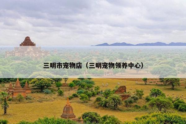 三明市宠物店(三明宠物领养中心)