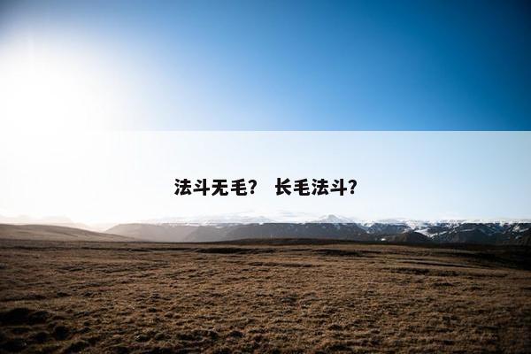 法斗无毛? 长毛法斗?