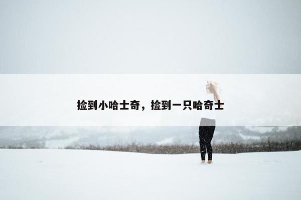 捡到小哈士奇,捡到一只哈奇士