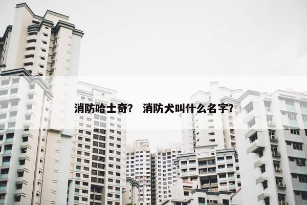 消防哈士奇? 消防犬叫什么名字?