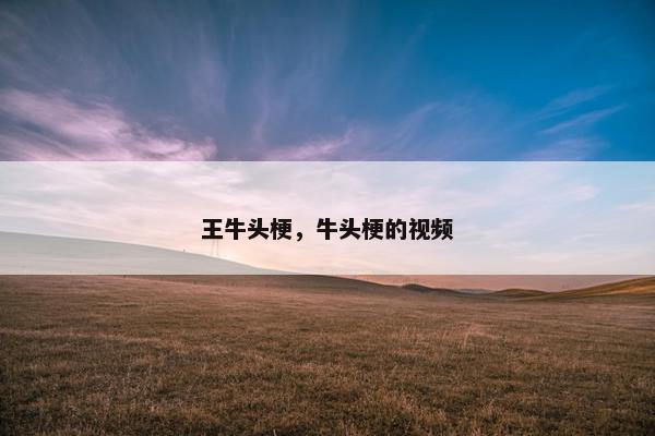 王牛头梗,牛头梗的视频