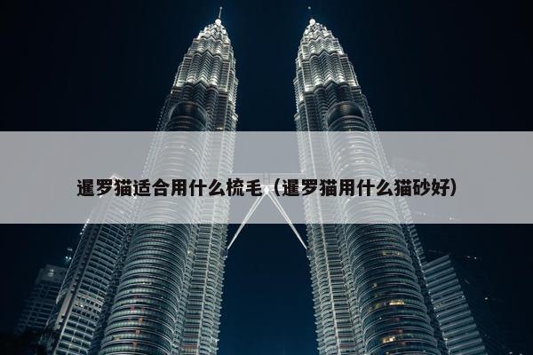 暹罗猫适合用什么梳毛(暹罗猫用什么猫砂好)