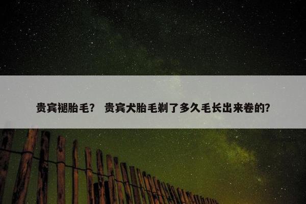 贵宾褪胎毛? 贵宾犬胎毛剃了多久毛长出来卷的?
