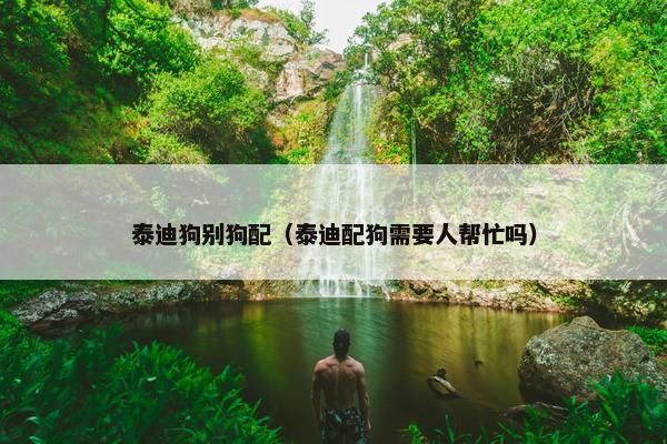 泰迪狗别狗配（泰迪配狗需要人帮忙吗）