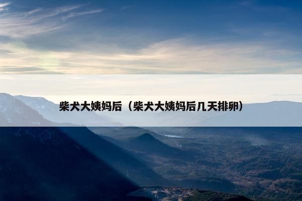 柴犬大姨妈后(柴犬大姨妈后几天排卵)