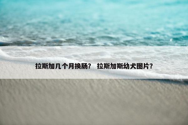 拉斯加几个月换肠? 拉斯加斯幼犬图片?