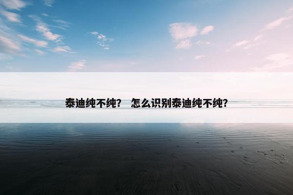 泰迪纯不纯? 怎么识别泰迪纯不纯?