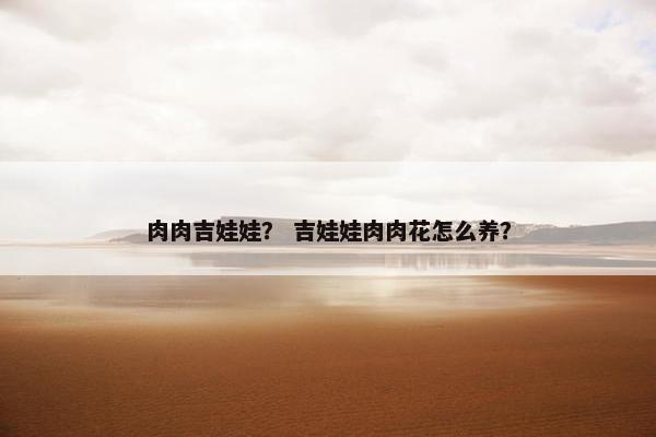 肉肉吉娃娃？ 吉娃娃肉肉花怎么养？