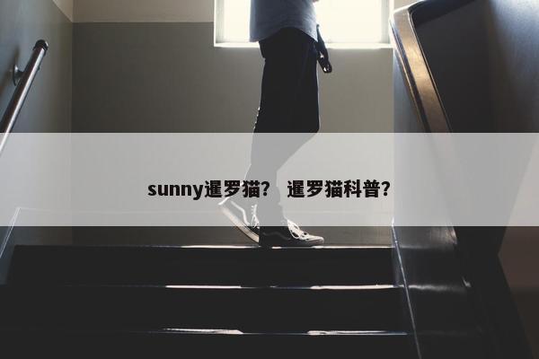 sunny暹罗猫？ 暹罗猫科普？
