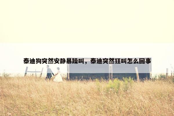 泰迪狗突然安静暴躁叫,泰迪突然狂叫怎么回事