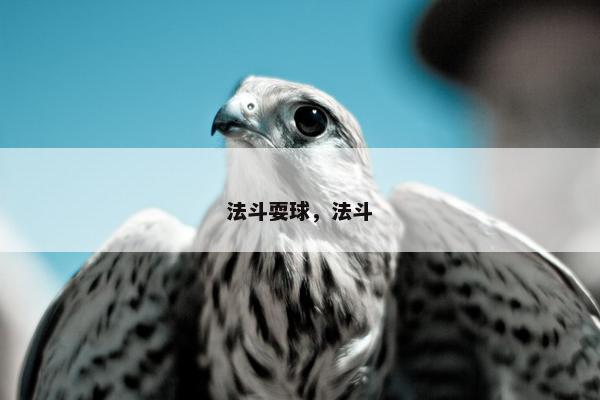 法斗耍球,法斗