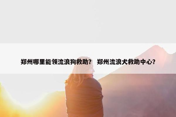 郑州哪里能领流浪狗救助? 郑州流浪犬救助中心?